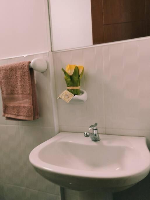 Apart Florencia, Piscina En El Verano! Incluye Parking Y Vigilancia 24 Horas! タクナ エクステリア 写真
